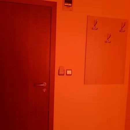 Viva * פרימורסקו