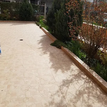 Viva * פרימורסקו